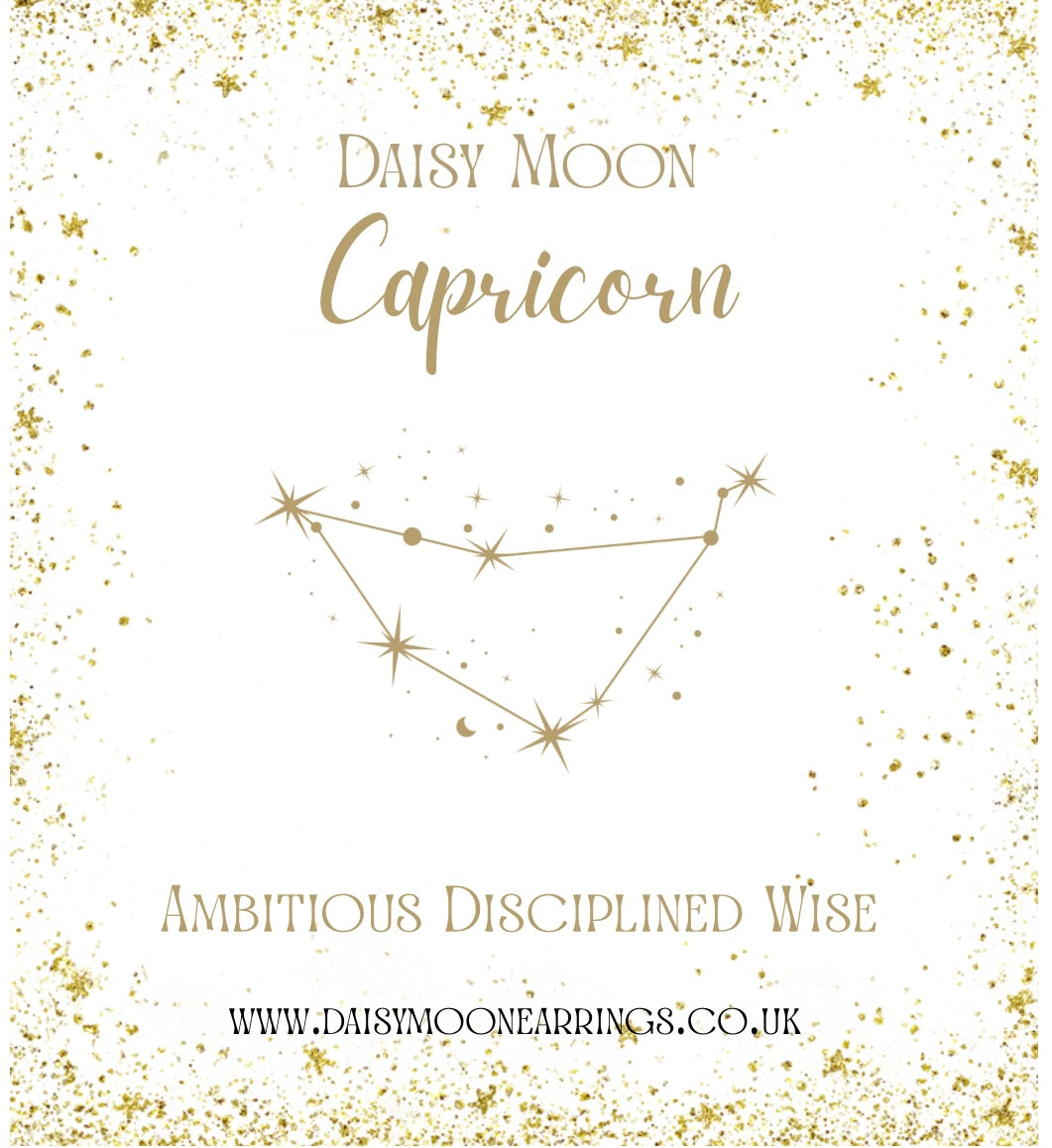 Zodiac Necklace-Capricorn
