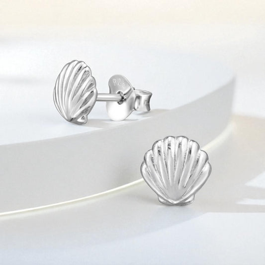 Seashell Studs