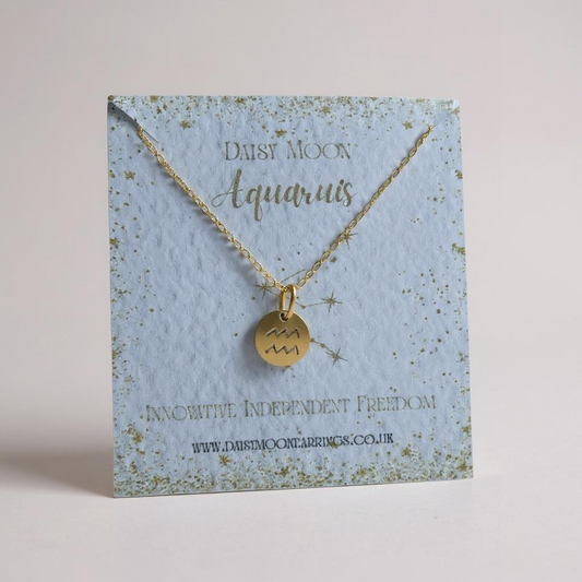 Zodiac Necklace- Aquarius