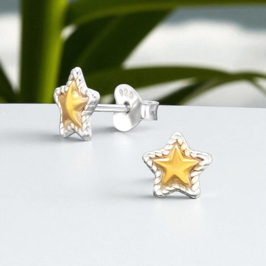 Star Two Tone Studs